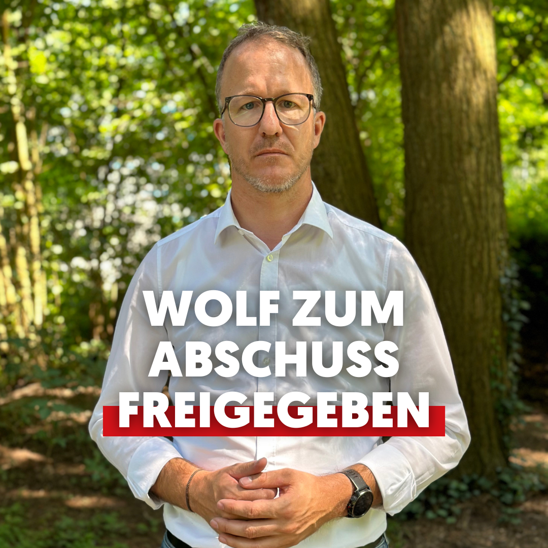 Bezirkshauptmannschaft Bregenz erlässt Wolfsabschussverordnung